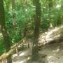 c-hike-2025-03_c.jpg