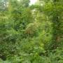 c-hike-2025-05_a.jpg