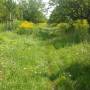 c-hike-2025-05_c.jpg