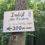 c-hike-2026-03_l.jpg