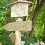 c-hike-2026-03_q.jpg