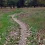 c-hike-2026-06_c.jpg